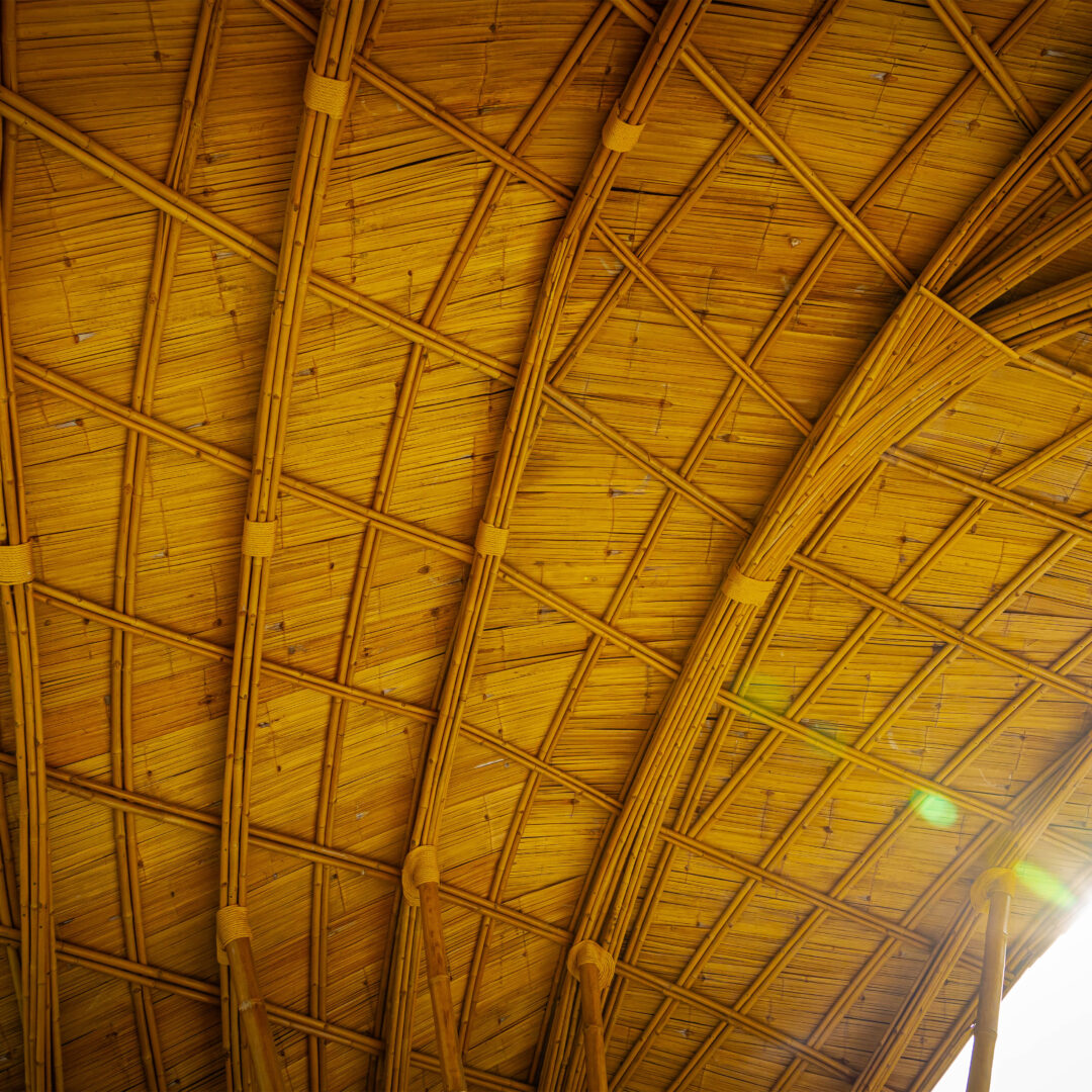 ไผ่สับฟาก